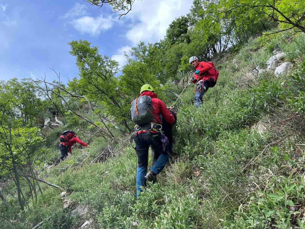 HGSS-ovci Spasili škotskog Ovčara Tomija Sa Sisola