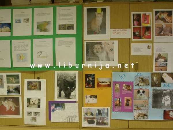 Liburnija.net: Obilježen Međunarodni dan zaštite životinja @ O.Š. Rikard Katalinić Jeretov