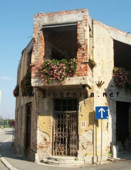 Liburnija.net: Vukovar; cvijeće na ratnim uspomenama - žaluje li ono za nekim ili pokušava uzaludno uljepšati surovu stvarnost