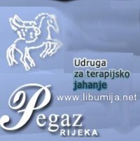 pegaz_sm