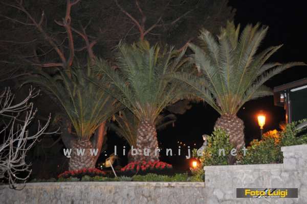 Liburnija.net: Noćni pogled na 14 palmi @ Hotel Milenij, Opatija