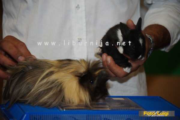 Liburnija.net: Obilježen Međunarodni dan životinja @ Opatija