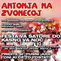 antonja_zvoneca_sm