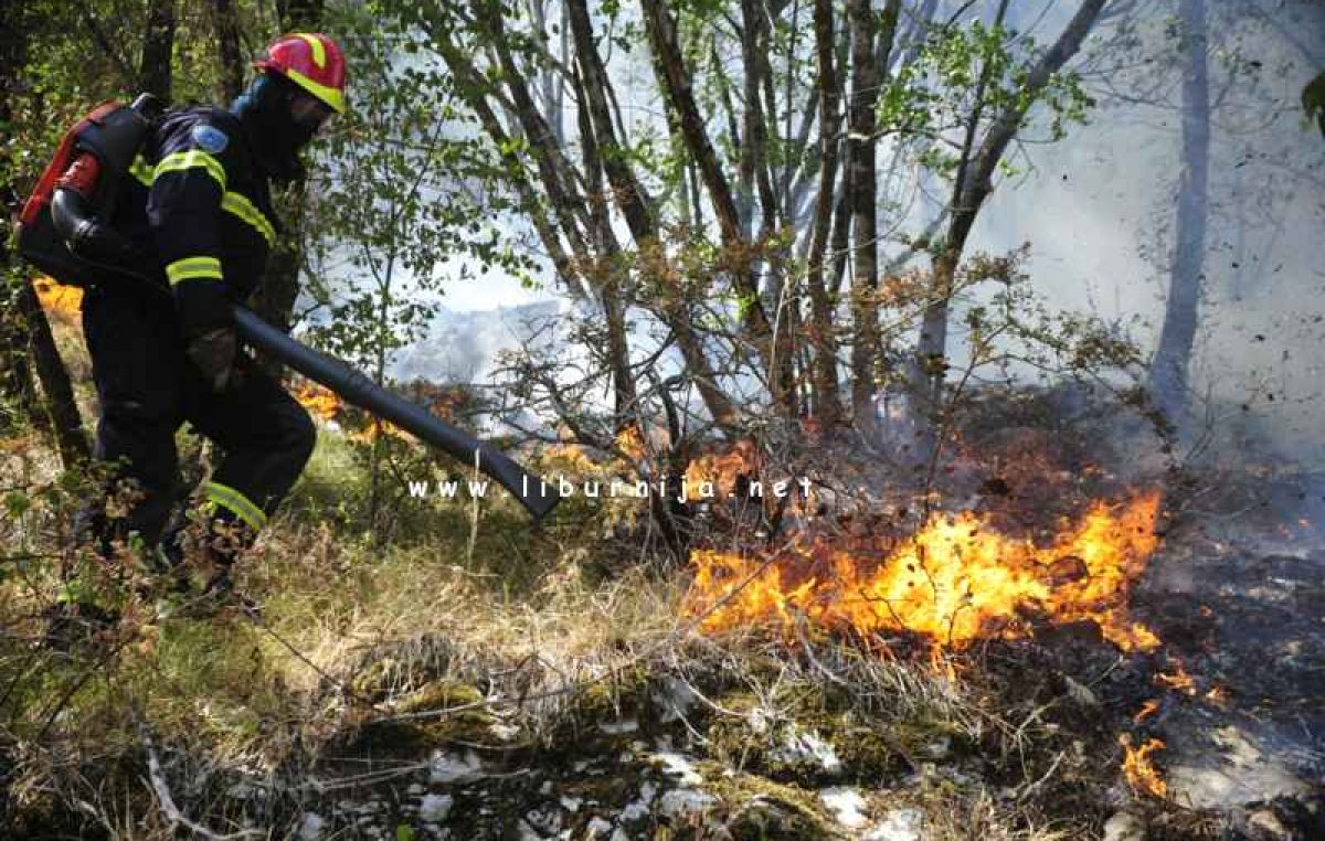 Vatrogasci apeliraju: Ne palite korov, dugotrajna suša i vjetar tvore opasnu kombinaciju za širenje požara