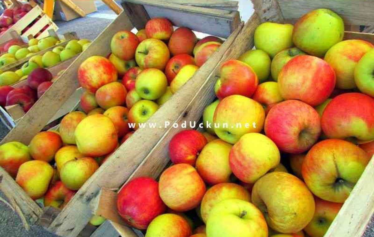 Dan domaće jabuke i meda @ Veletržnica Matulji