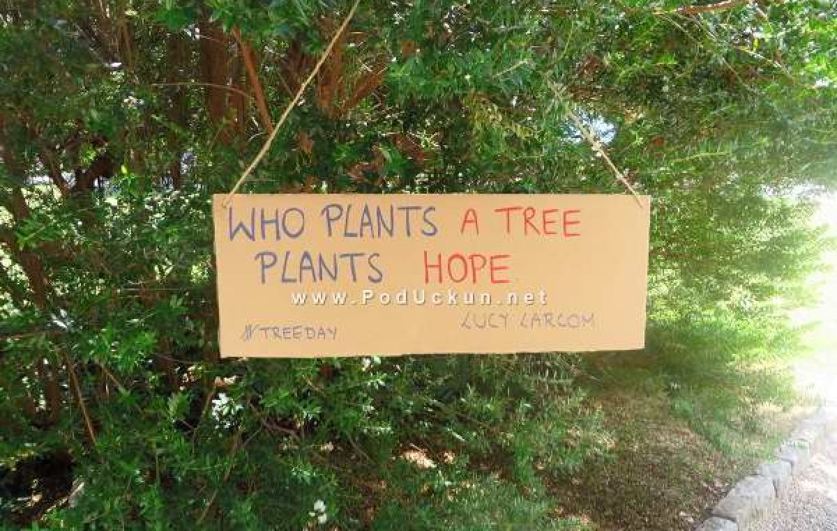 Građanska inicijativa ‘Sadimo stabla po Opatiji’ ima namjeru zazeleniti grad krajem listopada