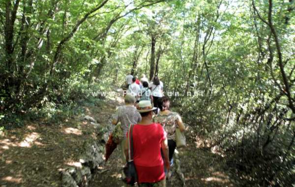 Najavljen trening nordijskog hodanja pod stručnim vodstvom KŠR Gorovo