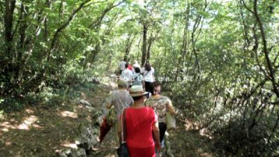 Najavljen trening nordijskog hodanja pod stručnim vodstvom KŠR Gorovo