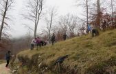 Volonteri posadili preko 570 sadnica bukve u Žmergovoj akciji pošumljavanja Učke „budiBUKVAlan“