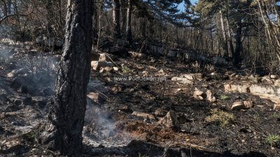VIDEO Silovit požar opustošio učkarsko zelenilo – Izgorjelo 17 hektara makije i borovine na Obršu