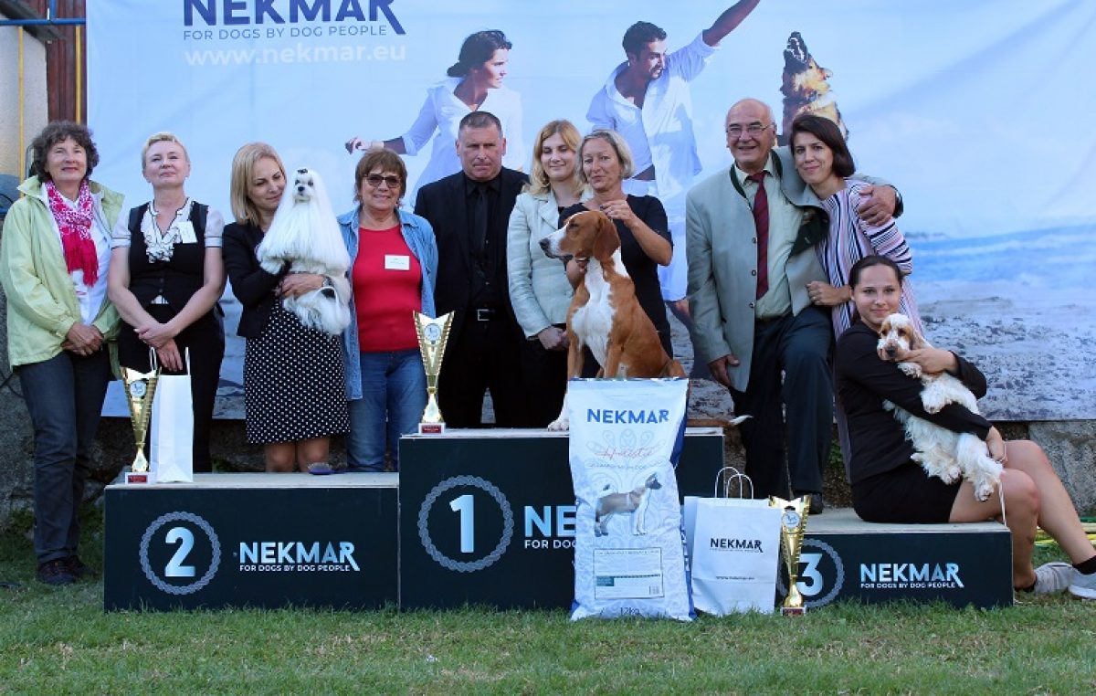U OKU KAMERE 276 pasa iz 11 država predstavilo se na Nacionalnoj izložbi pasa u Lovranu