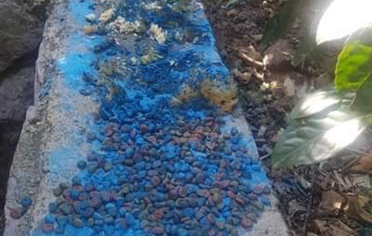 Modrom galicom truju napuštene životinje, obaviještena i policija @ Kastav