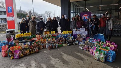 Reformisti Kastav pozivaju na Akciju prikupljanja hrane za pse i mačke