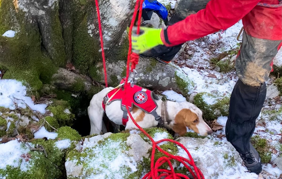 Pripadnici HGSS-a Rijeka iz jame izvukli psa nakon devet dana od nestanka @ Zvoneća