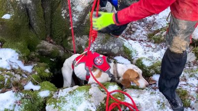 Pripadnici HGSS-a Rijeka iz jame izvukli psa nakon devet dana od nestanka @ Zvoneća
